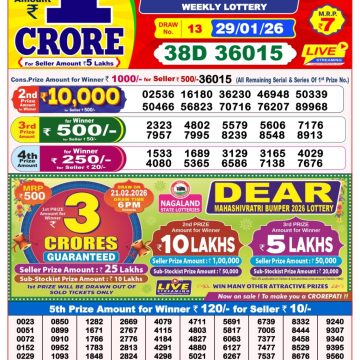 Dear Lottery Result Today 8 PM – 29 January 2026