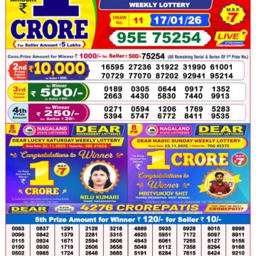 Dear Lottery Result Today 8 PM – 17 January 2026
