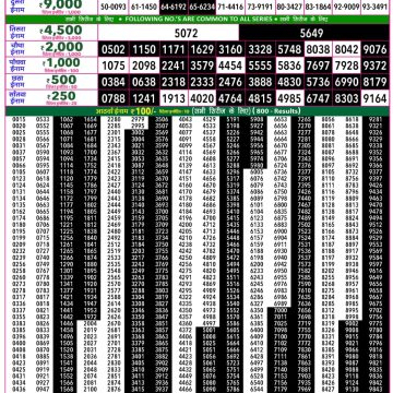 Rajshree 50 Weekly Lottery Result 7:30 PM Dated 17 May 2026