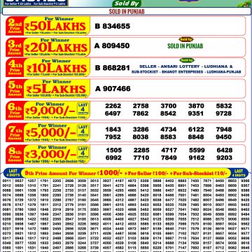 Punjab State Dear Summer Special Bumper Draw Outcome 13 June 2026