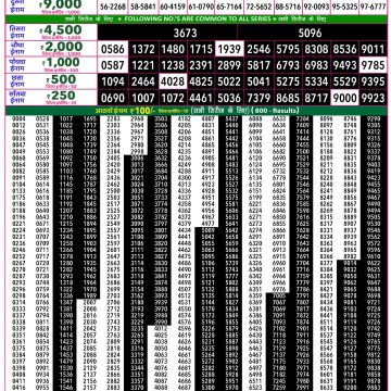 Rajshree 50 Weekly Lottery Result 7:30 PM Dated 16 June 2026