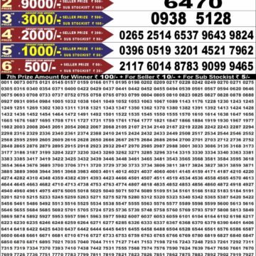 Punjab State Lottery Dear 50 Result 6:30 PM Dated 27 July 2026