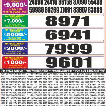 Punjab State 20 Monthly Lottery Result 28 July 2026
