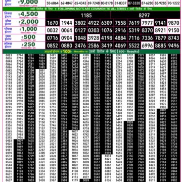 Rajshree 50 Weekly Lottery Result 7:30 PM Dated 04 August 2026