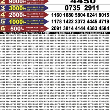 Punjab State Lottery Dear 50 Result 6:30 PM Dated 11 August 2026