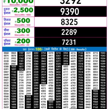 Rajshree Night Lottery Result 9 PM Dated 11 August 2026