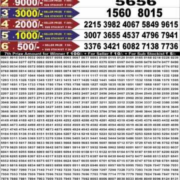 Punjab State Lottery Dear 50 Result 6:30 PM Dated 12 August 2026