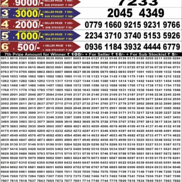Punjab State Lottery Dear 50 Result 6:30 PM Dated 13 August 2026