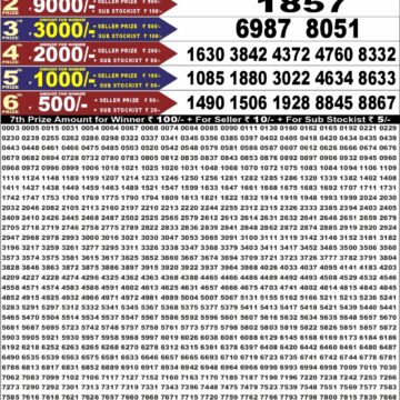 Punjab State Lottery Dear 50 Result 6:30 PM Dated 18 August 2026