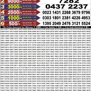 Punjab State Lottery Dear 50 Result 6:30 PM Dated 28 August 2026