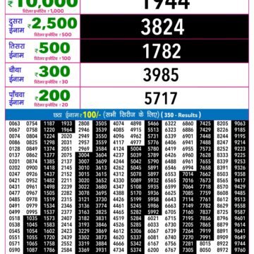 Rajshree Night Lottery Result 9 PM Dated 03 September 2026