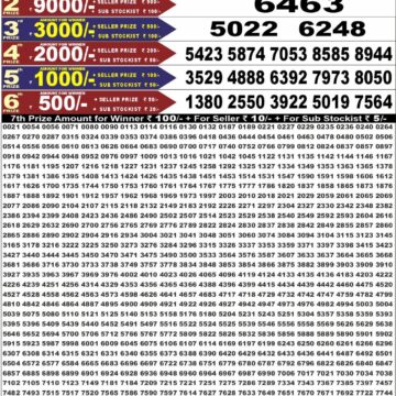Punjab State Lottery Dear 50 Result 6:30 PM Dated 01 September 2026