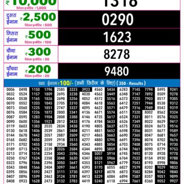 Rajshree Night Lottery Result 9 PM Dated 13 September 2026